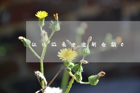 征信记录中逾期余额0 征信记录中逾期余额0