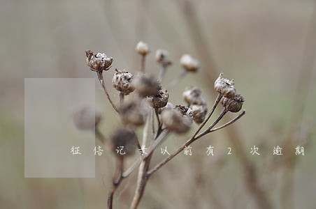 征信记录以前有2次逾期