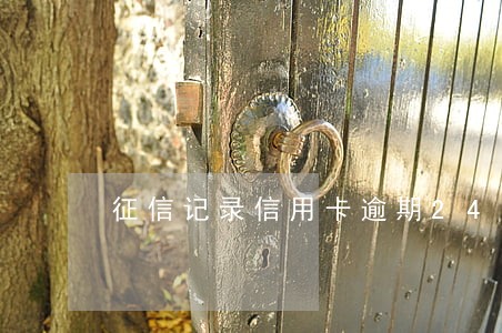 征信记录信用卡逾期24个月