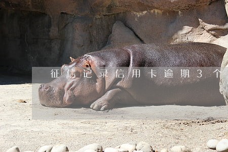 征信记录信用卡逾期3个月 征信记录信用卡逾期3个月