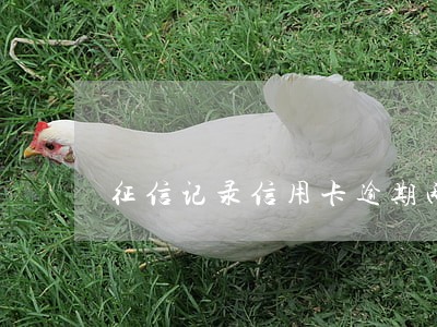 征信记录信用卡逾期两个月 征信记录信用卡逾期两个月
