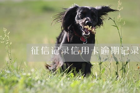 征信记录信用卡逾期记录 征信记录信用卡逾期记录