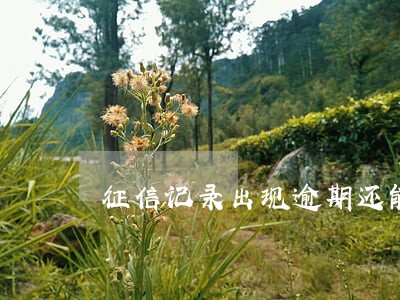 征信记录出现逾期还能贷款吗 征信记录出现逾期还能贷款吗