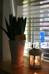 征信记录如何差信用卡逾期明细