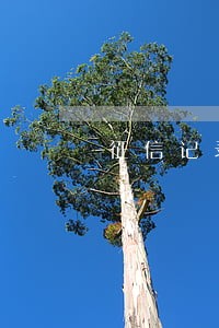 征信记录显示车贷22个月逾期 征信记录显示车贷22个月逾期