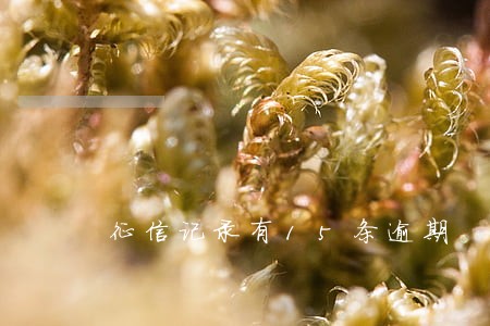 征信记录有15条逾期
