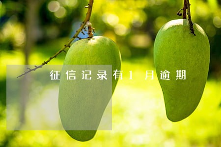 征信记录有1月逾期 征信记录有1月逾期