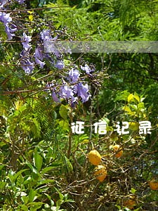 征信记录有3次逾期怎么办 征信记录有3次逾期怎么办