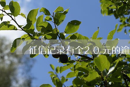 征信记录有个20元的逾期