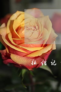 征信记录有逾期4次可以担保吗 征信记录有逾期4次可以担保吗
