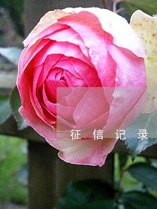 征信记录有逾期怎么办信用卡 征信记录有逾期怎么办信用卡
