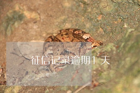 征信记录逾期1天 征信记录逾期1天