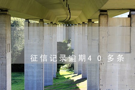 征信记录逾期40多条 征信记录逾期40多条