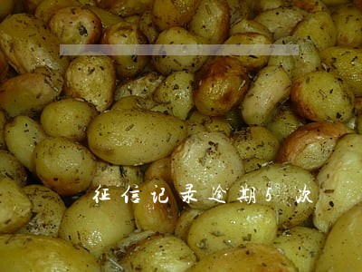 征信记录逾期5次
