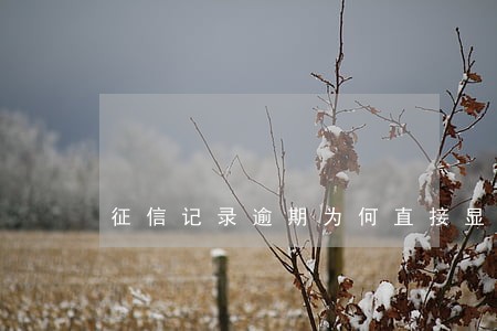 征信记录逾期为何直接显示3 征信记录逾期为何直接显示3