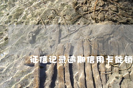征信记录逾期信用卡能销户吗6 征信记录逾期信用卡能销户吗6