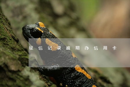 征信记录逾期办信用卡 征信记录逾期办信用卡