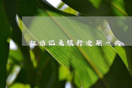 征信记录银行逾期一次 征信记录银行逾期一次