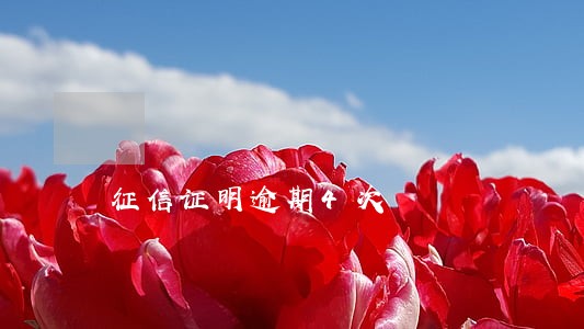 征信证明逾期4次