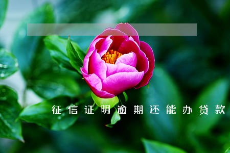 征信证明逾期还能办贷款吗 征信证明逾期还能办贷款吗