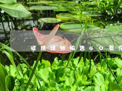 征信详细报告40页没逾期 征信详细报告40页没逾期