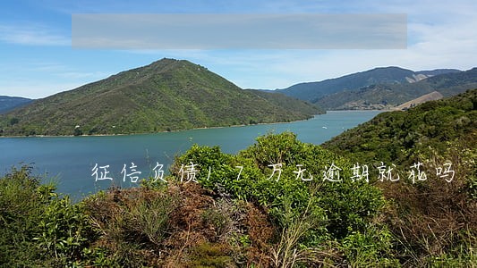 征信负债17万无逾期就花吗 征信负债17万无逾期就花吗