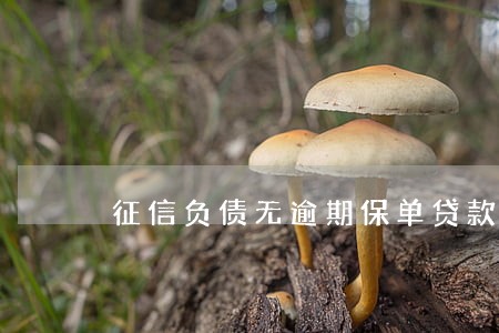 征信负债无逾期保单贷款被拒 征信负债无逾期保单贷款被拒