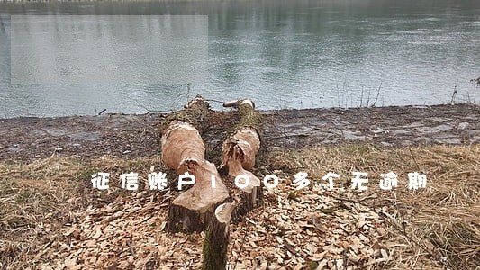 征信账户100多个无逾期 征信账户100多个无逾期