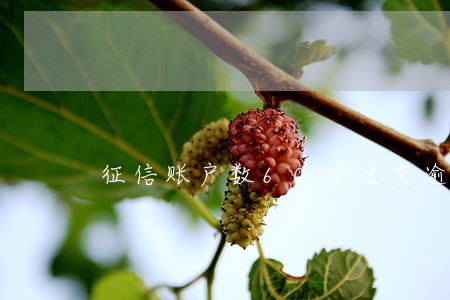 征信账户数60个没有逾期 征信账户数60个没有逾期