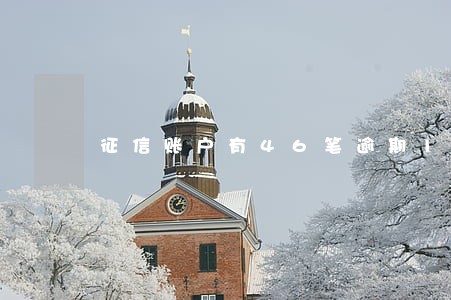 征信账户有46笔逾期16笔 征信账户有46笔逾期16笔