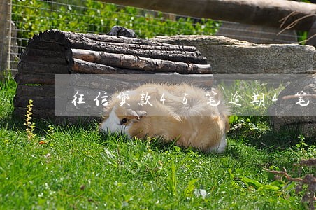 征信贷款45笔逾期4笔有影响吗 征信贷款45笔逾期4笔有影响吗