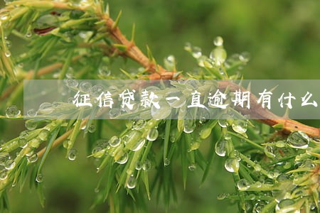 征信贷款一直逾期有什么影响 征信贷款一直逾期有什么影响