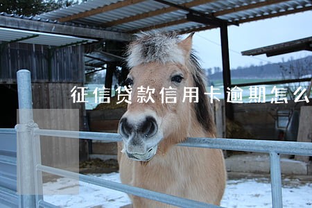 征信贷款信用卡逾期怎么弄 征信贷款信用卡逾期怎么弄