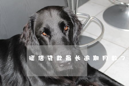 征信贷款最长逾期月数7 征信贷款最长逾期月数7