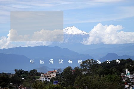 征信贷款有逾期怎么办 征信贷款有逾期怎么办