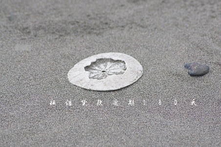 征信贷款逾期180天 征信贷款逾期180天