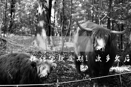 征信贷款逾期1次多久后清除 征信贷款逾期1次多久后清除