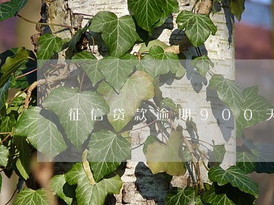 征信贷款逾期900天 征信贷款逾期900天