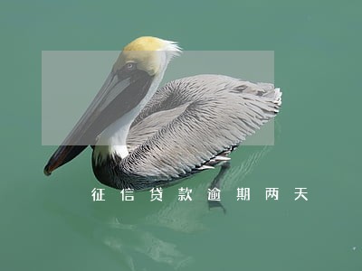 征信贷款逾期两天 征信贷款逾期两天