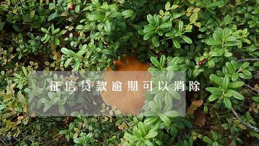 征信贷款逾期可以消除 征信贷款逾期可以消除