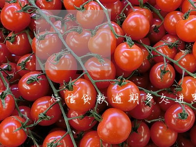 征信贷款逾期多久进黑名单 征信贷款逾期多久进黑名单