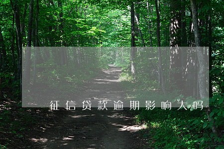 征信贷款逾期影响大吗 征信贷款逾期影响大吗