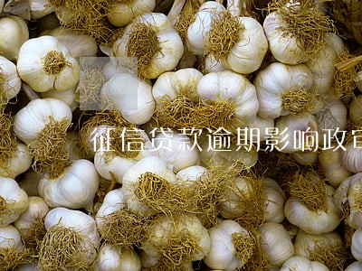 征信贷款逾期影响政审吗 征信贷款逾期影响政审吗