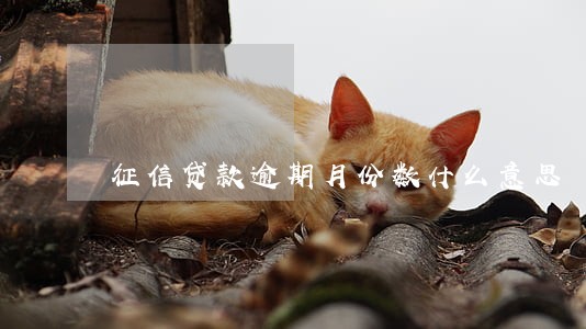 征信贷款逾期月份数什么意思 征信贷款逾期月份数什么意思