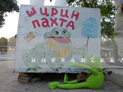 征信贷款逾期笔数账户数 征信贷款逾期笔数账户数
