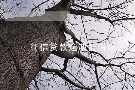 征信贷款逾期能消除 征信贷款逾期能消除