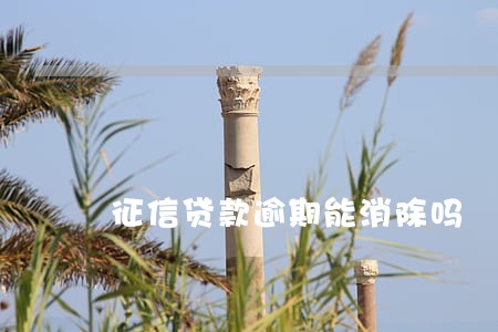 征信贷款逾期能消除吗 征信贷款逾期能消除吗
