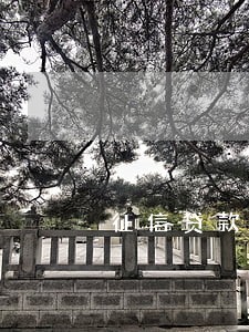 征信贷款逾期还不上有啥后果