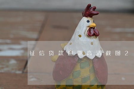 征信贷款逾期高清截图2019 征信贷款逾期高清截图2019