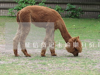 征信贷记卡逾期月份1